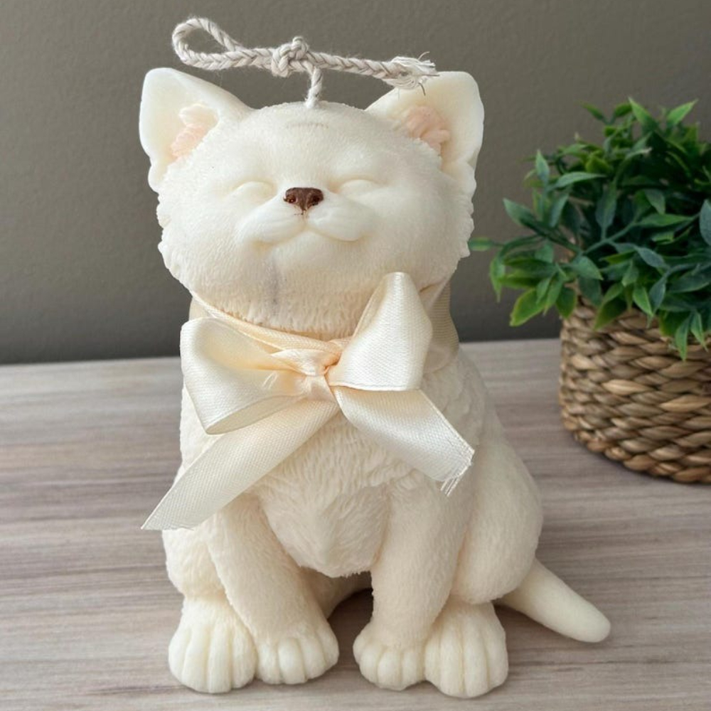 Smile Cat Silicone Mold for DI - Soap Making Business review and price
