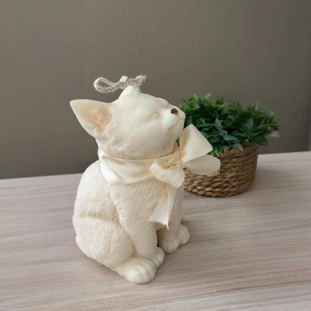 Smile Cat Silicone Mold for DI - Soap Making Business review and price