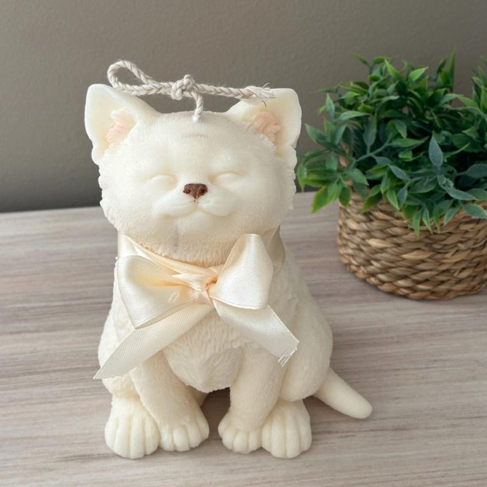 Smile Cat Silicone Mold for DI - Soap Making Business review and price